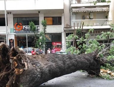 Θεσσαλονίκη: Μεγάλο δέντρο έπεσε πάνω σε δύο Ι.Χ. κοντά στη Ροτόντα! (φωτό)